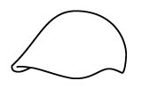 Duckbill cap